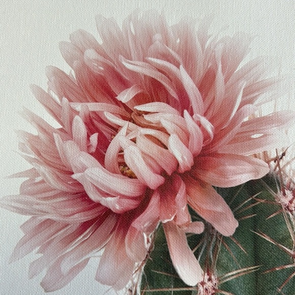 “Sylvie” Pink Cactus Flower Framed Canvas Art - Amy Peterson 18 in. x 24 in. - Picture 3 of 15